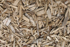 biomass boilers Staplehurst